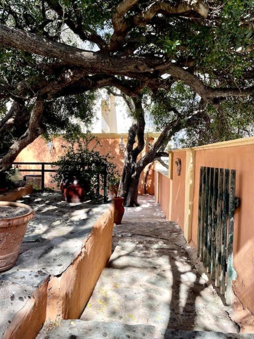 Villa Antonia كالفي المظهر الخارجي الصورة