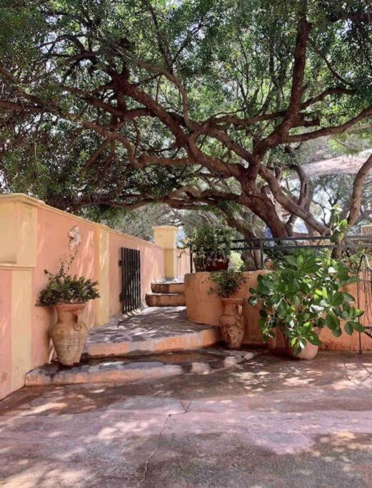 Villa Antonia كالفي المظهر الخارجي الصورة