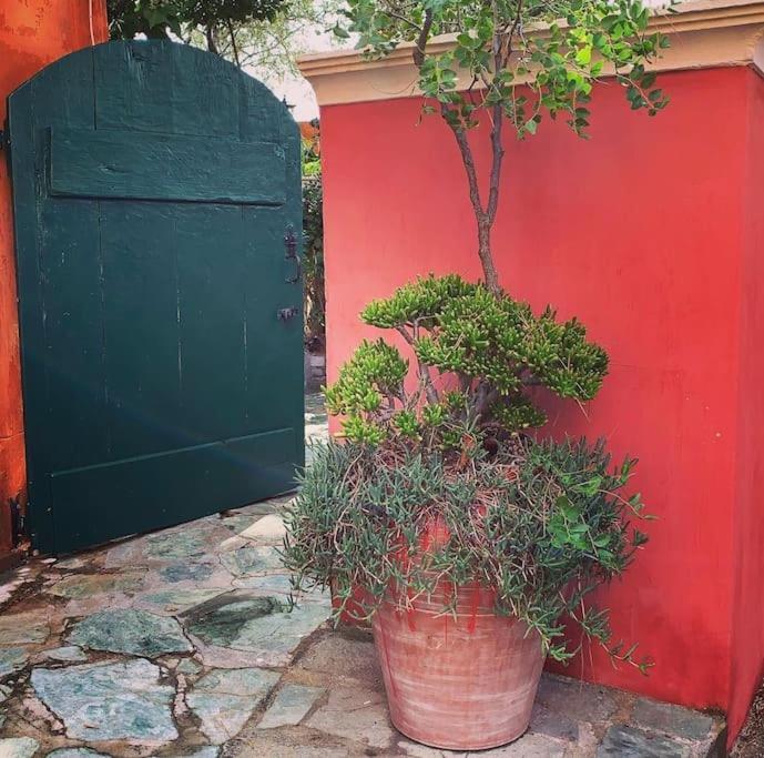 Villa Antonia كالفي المظهر الخارجي الصورة